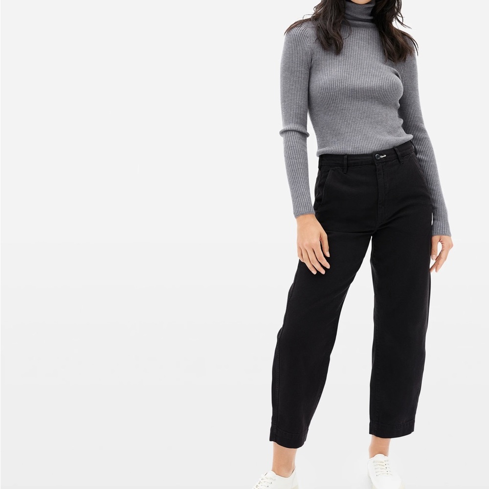 Everlane The Arc Canvas Pants Black